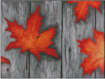 (image for) Fallen Leaves